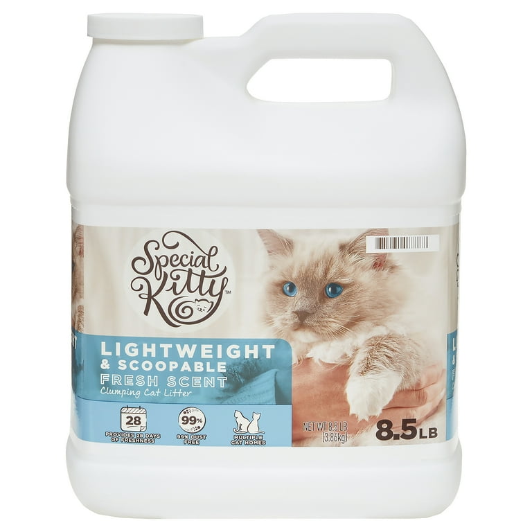 special kitty cat litter