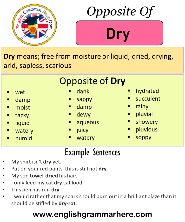 antonyms dry