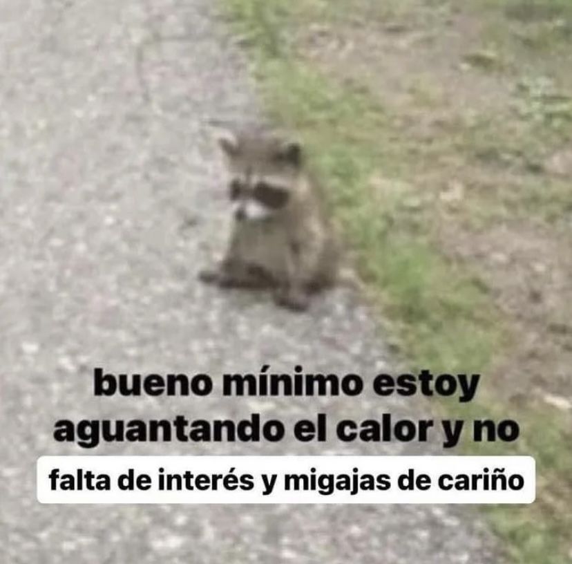 migajas meme