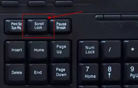 scroll lock laptop hp