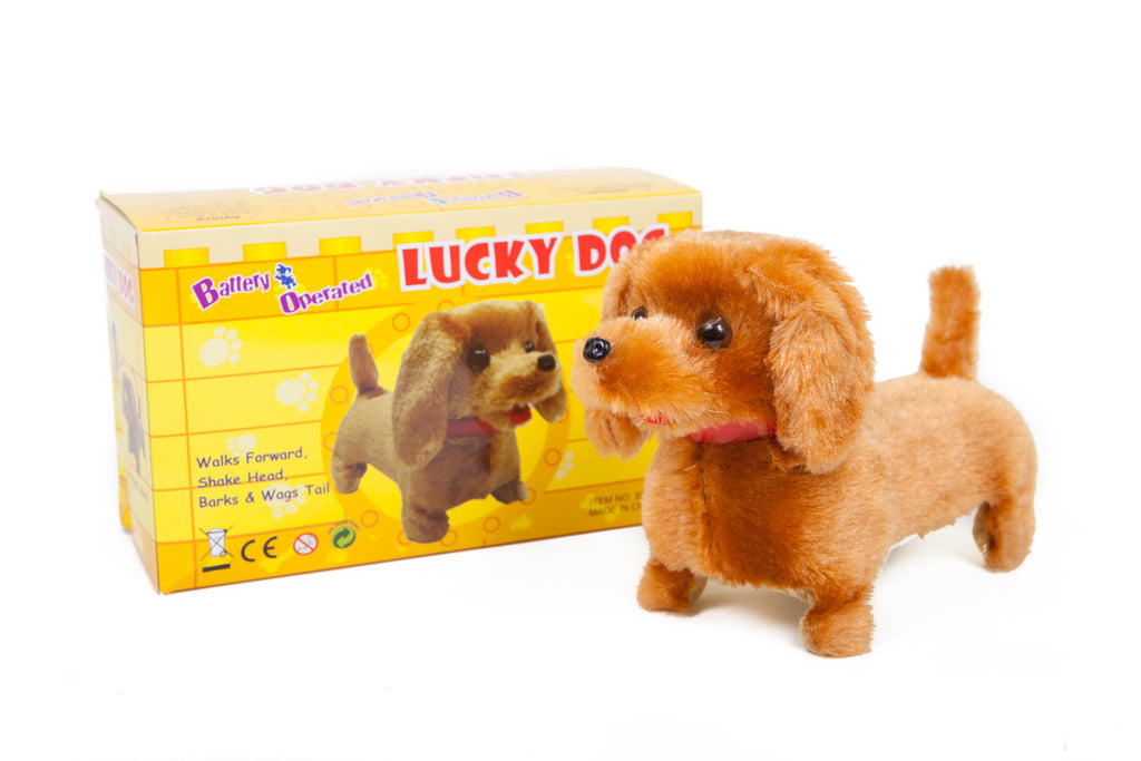 battery operated dog toy