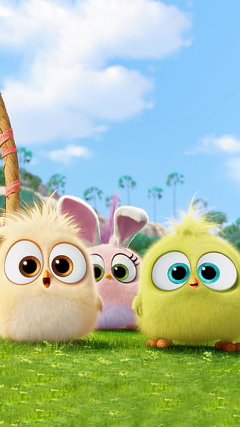 angry birds cute wallpaper