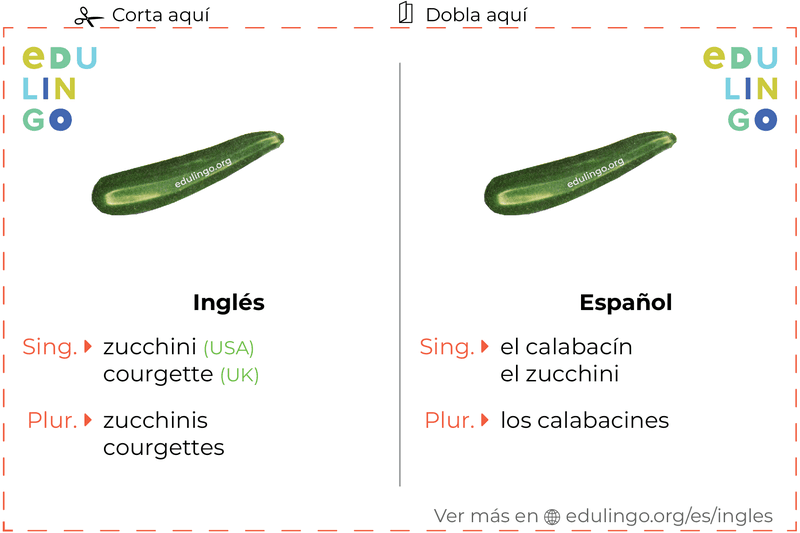 courgette traduccion