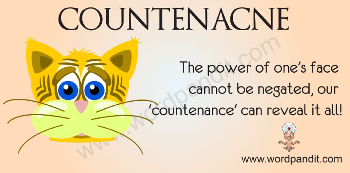 countenance meaning