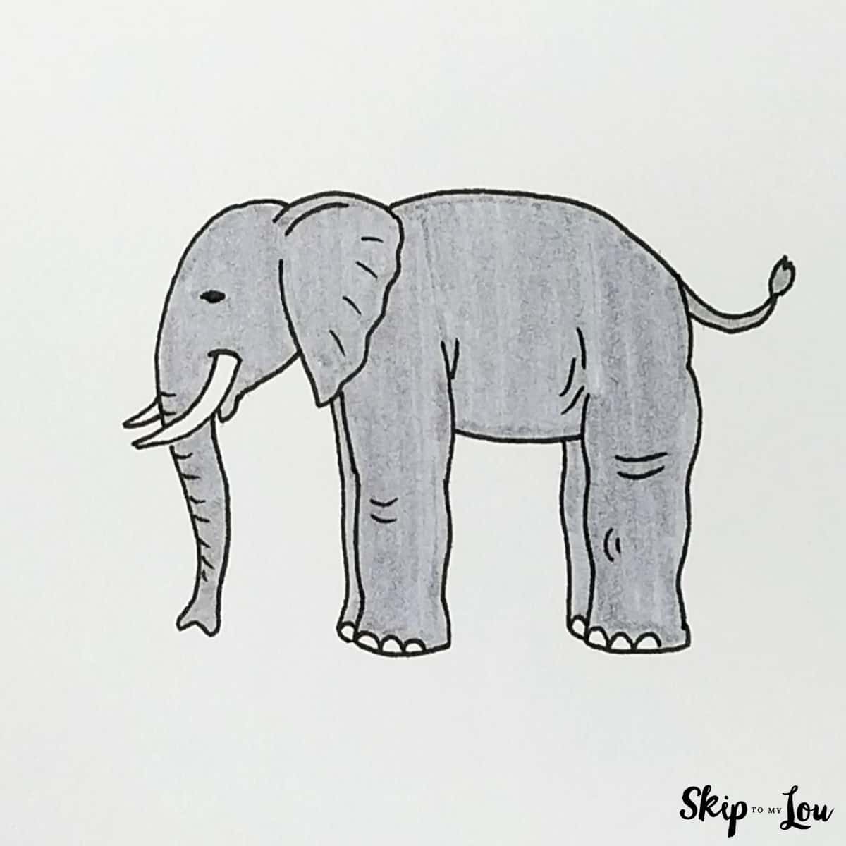 elephant color drawing