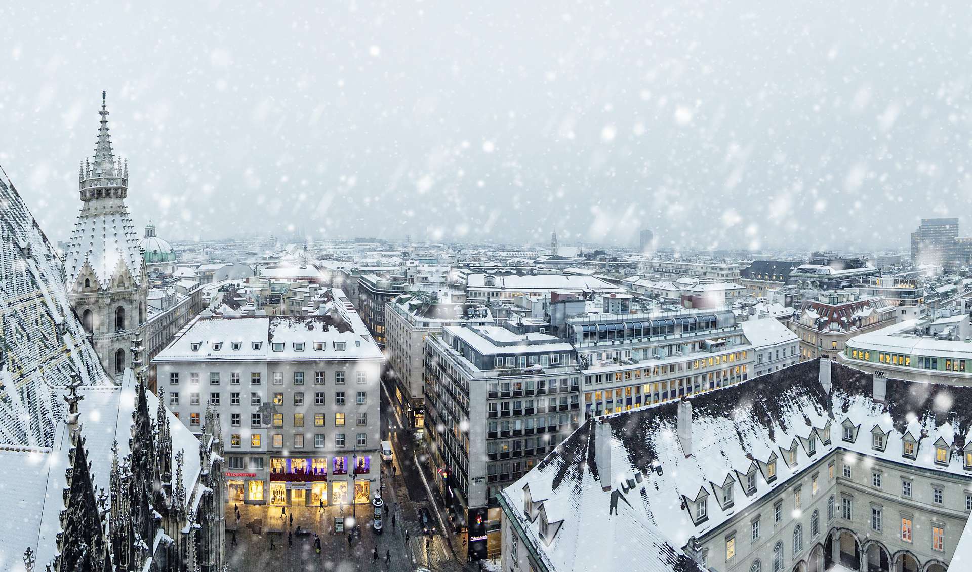 vienna in january weather