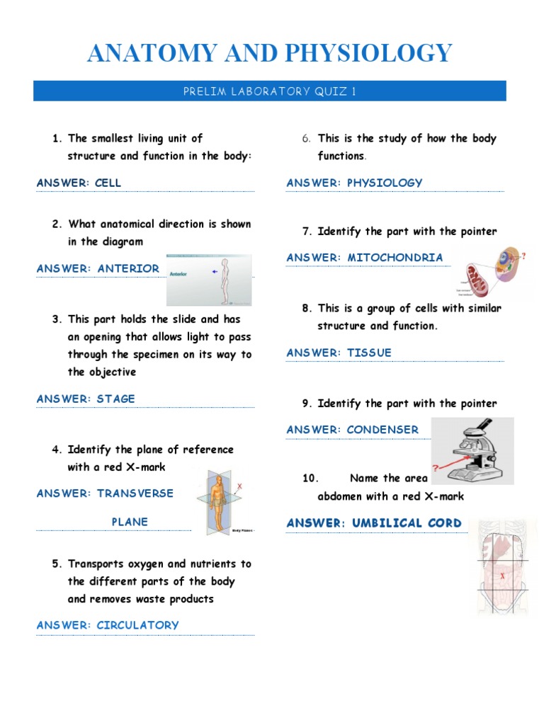 anatomy and physiology quiz nursing