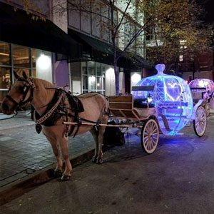 carriage rides chattanooga tn