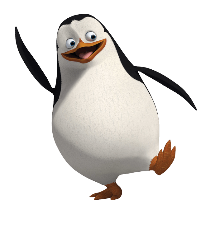 penguin madagascar private