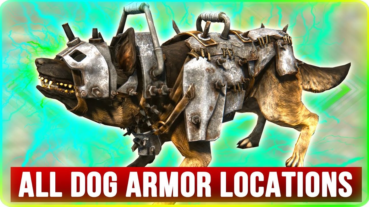 fallout 4 dog armor