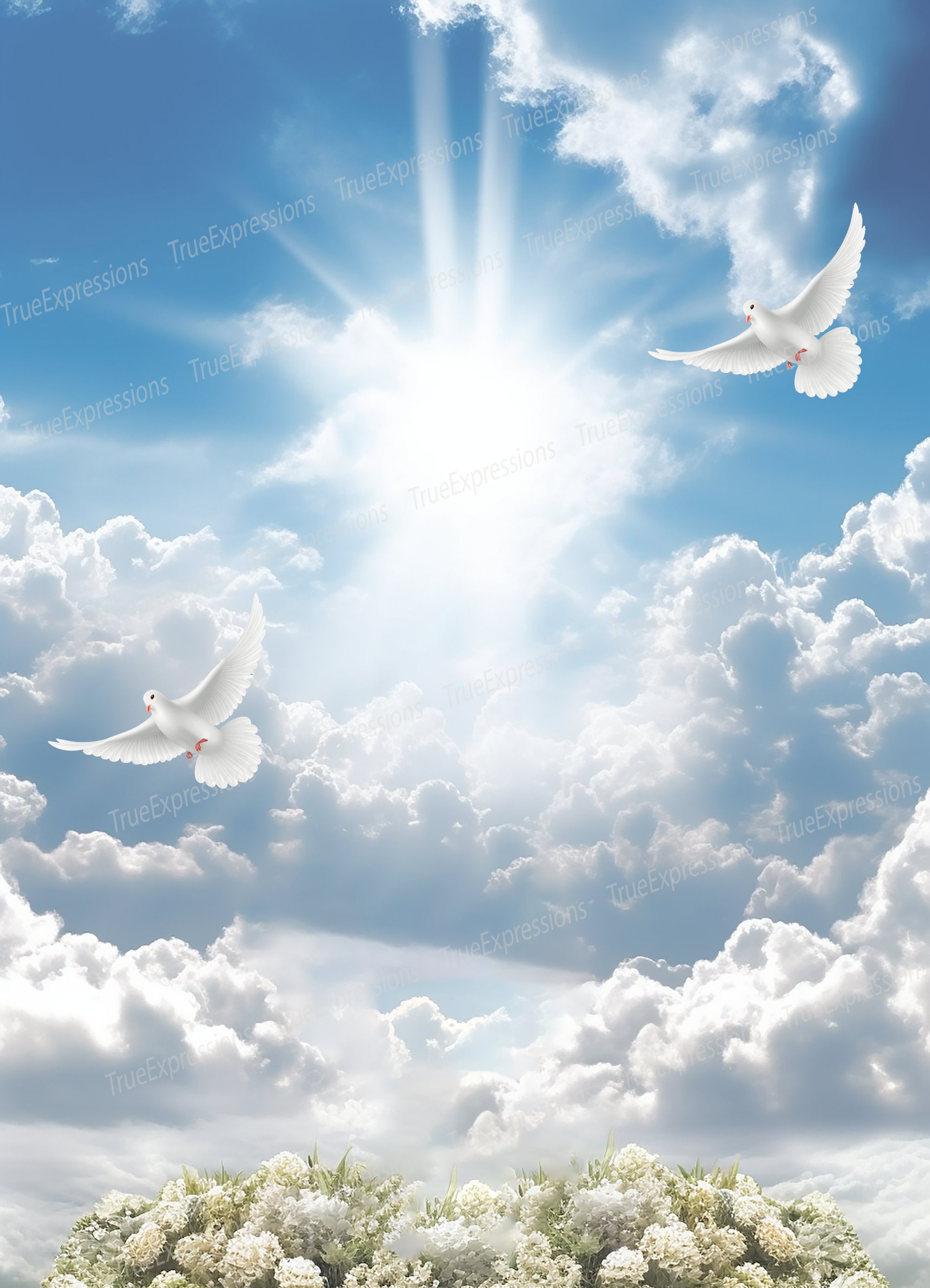 clouds and dove background