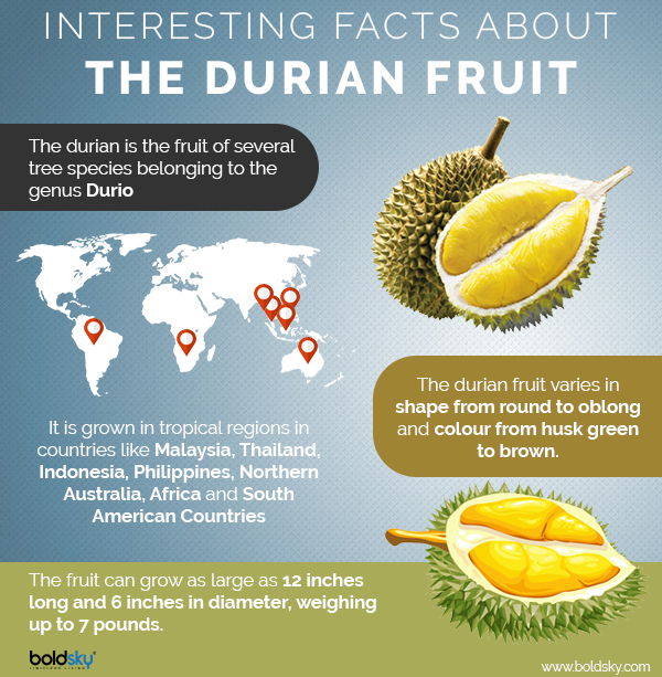 nutritional value of durian fruit