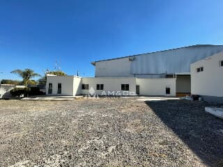 bodega en renta tlajomulco de zuñiga