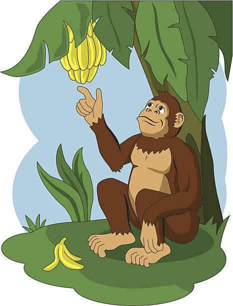 monkey eating banana cartoon