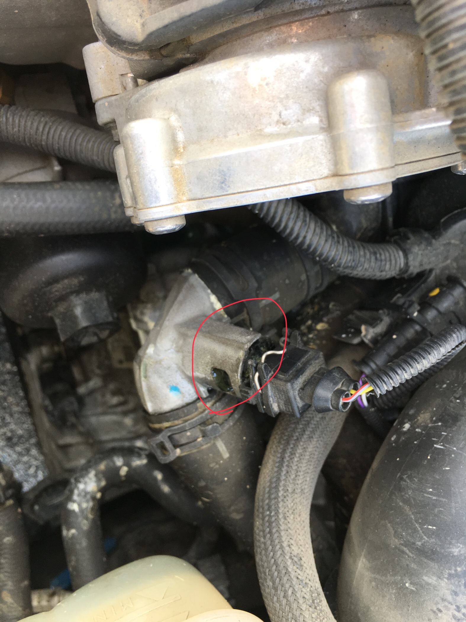 mini cooper coolant leak