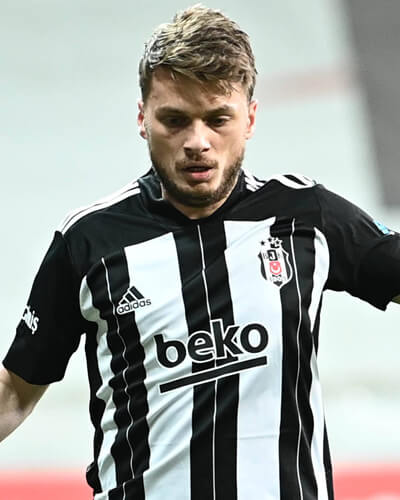 adem ljajic