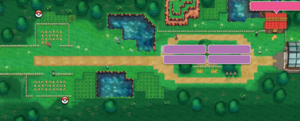 route 117 alpha sapphire