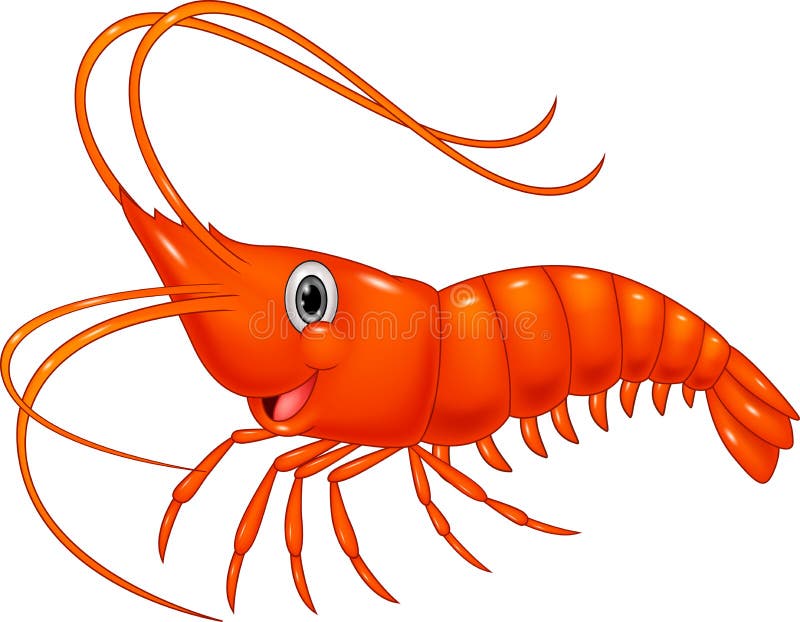 shrimp clipart