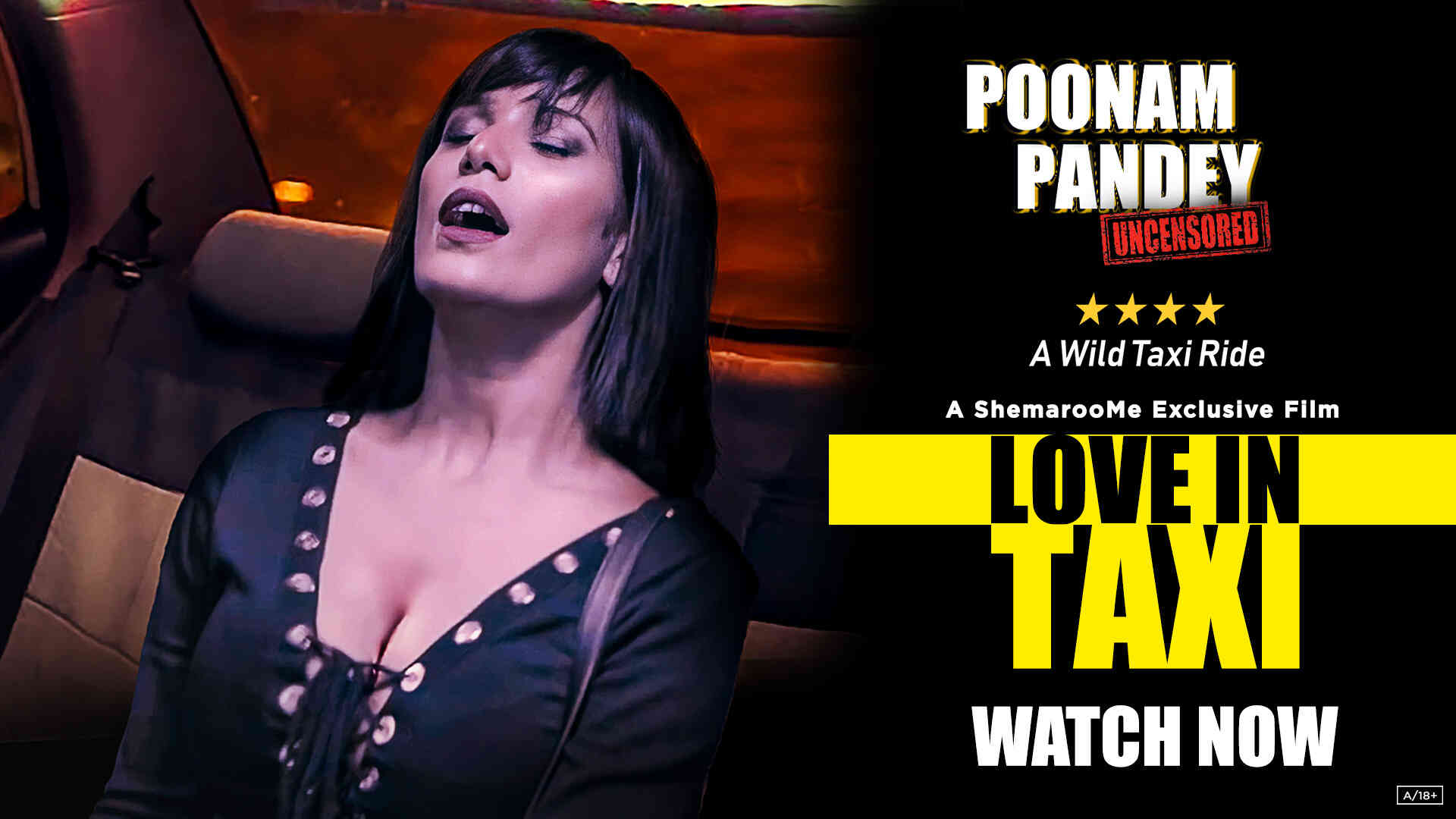 poonam pandey love in taxi