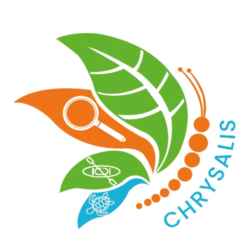 chrysalis moodle