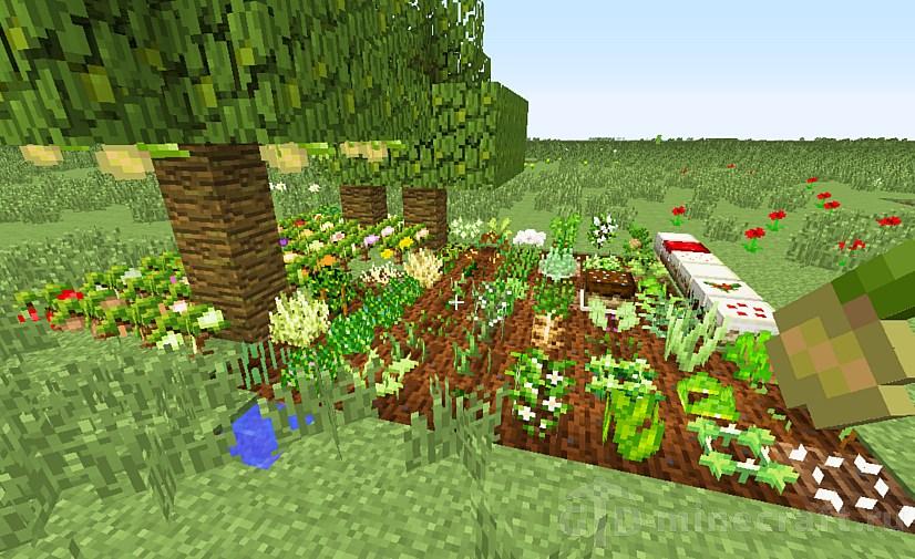 pams harvestcraft 2