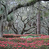 six oaks cemetery hilton head sc