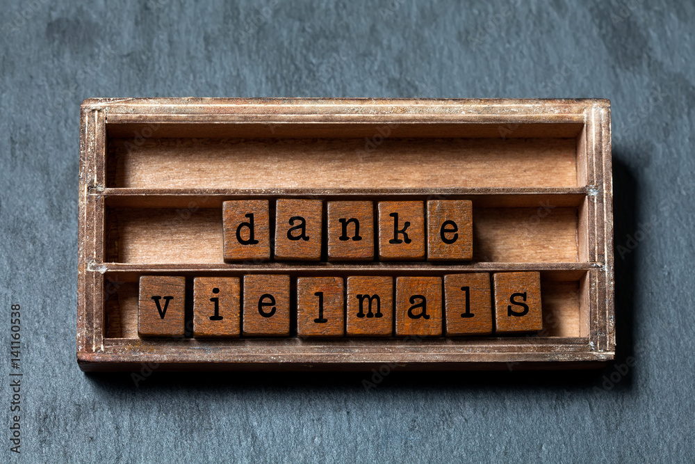 danke vielmals meaning