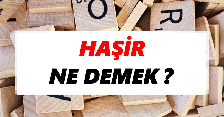 hasit ne demek