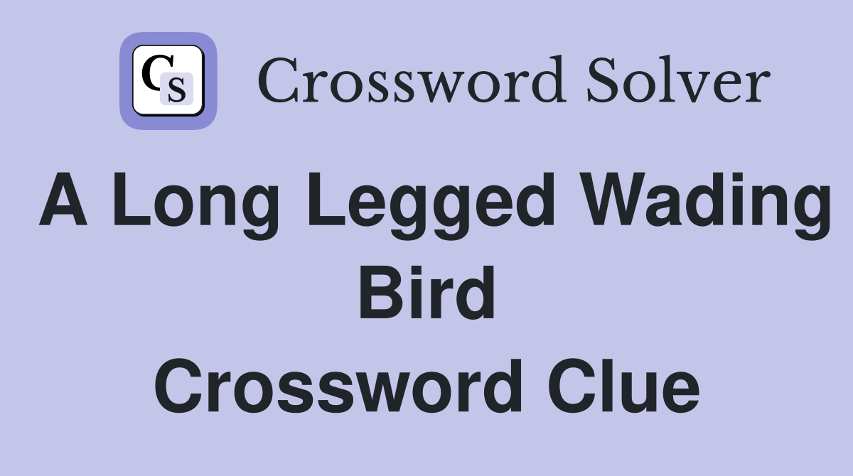 large wading bird crossword clue