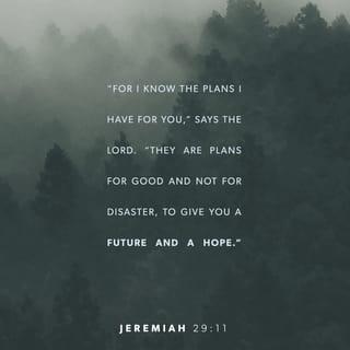 jeremiah 29 11 kjv