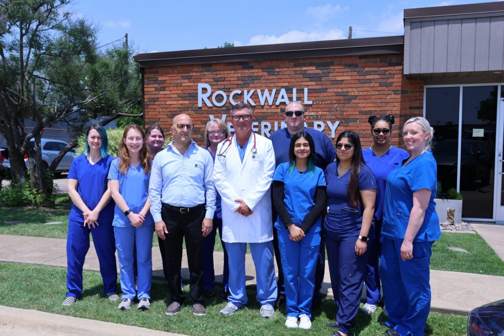 rockwall veterinary clinic