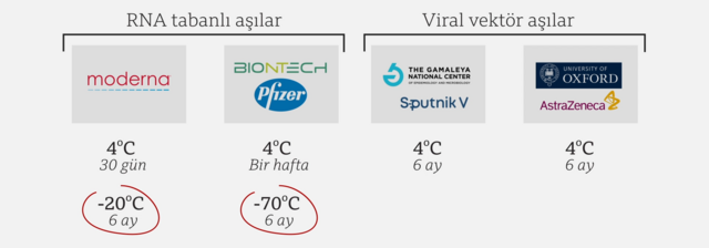 biontech vs sinovac ekşi