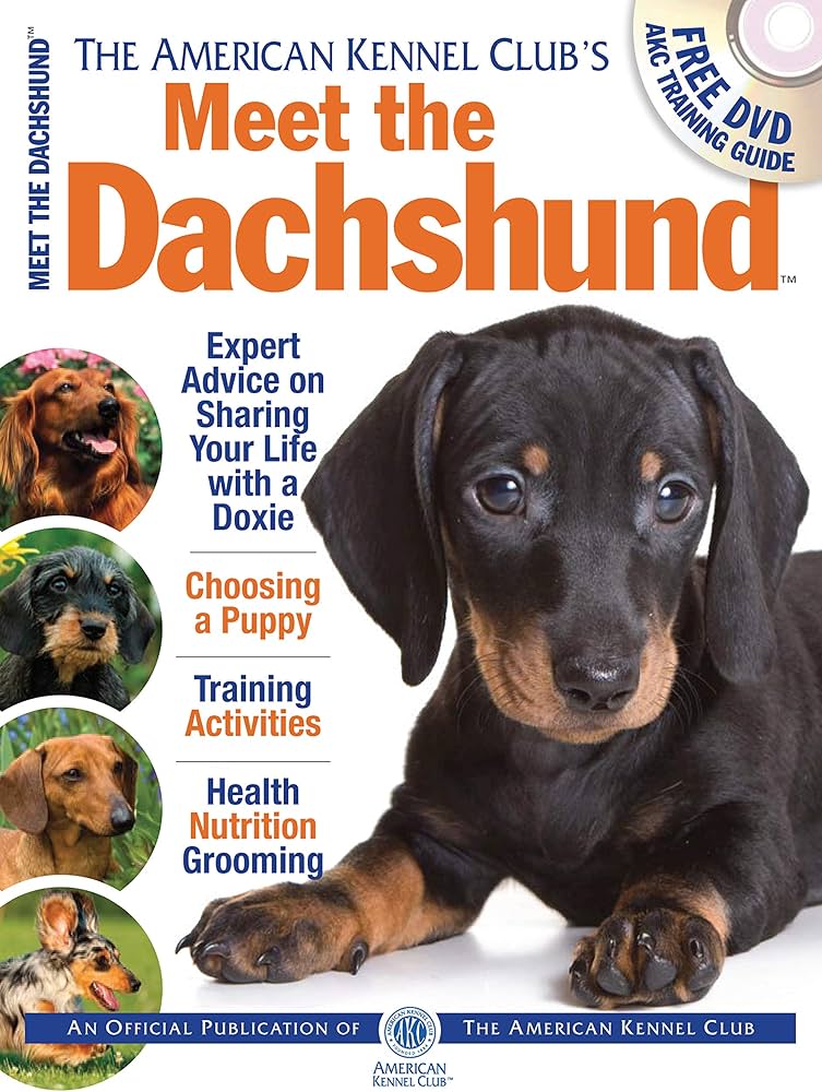 dachshund kennel club