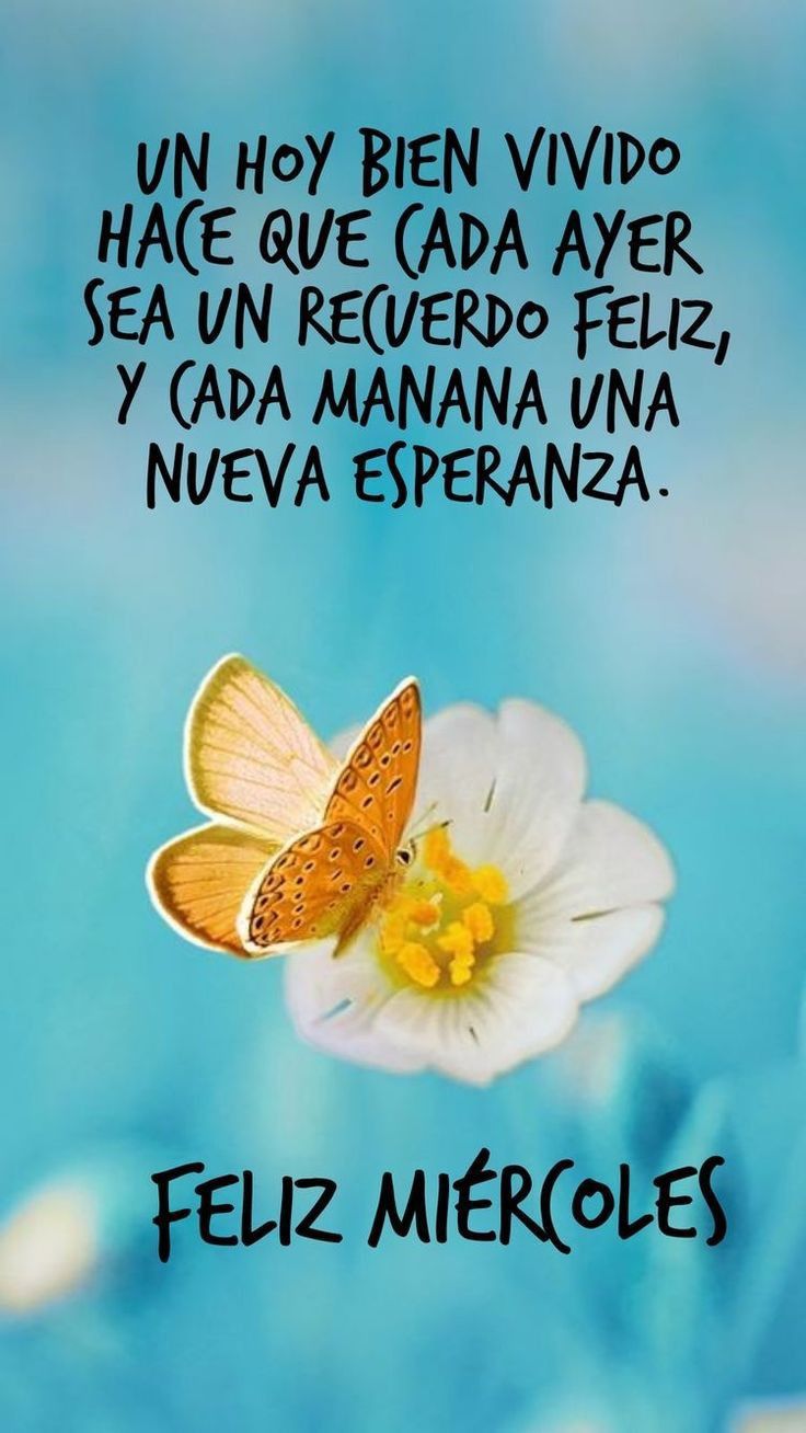 miercoles frases positivas