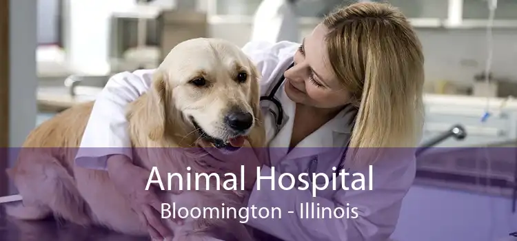 veterinarian bloomington il