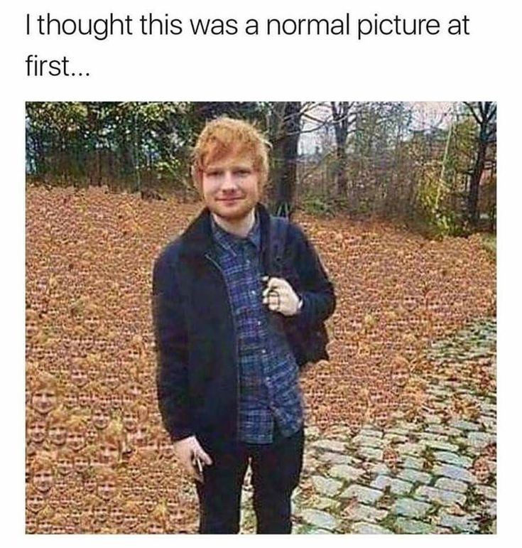 ed sheeran meme