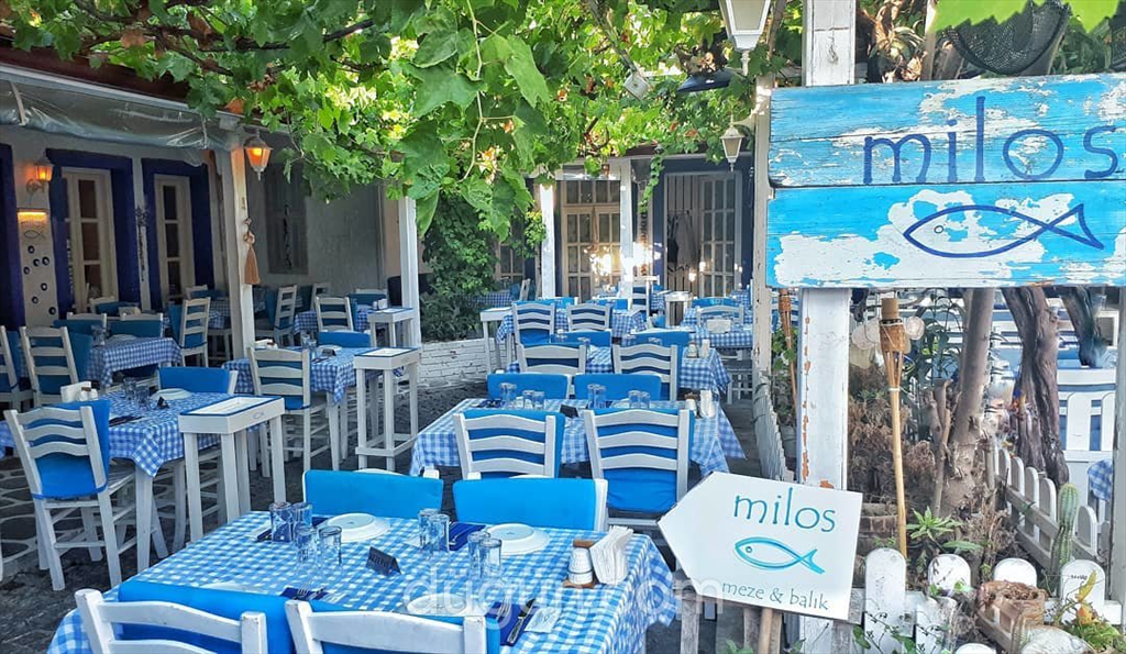 maşa restaurant seferihisar