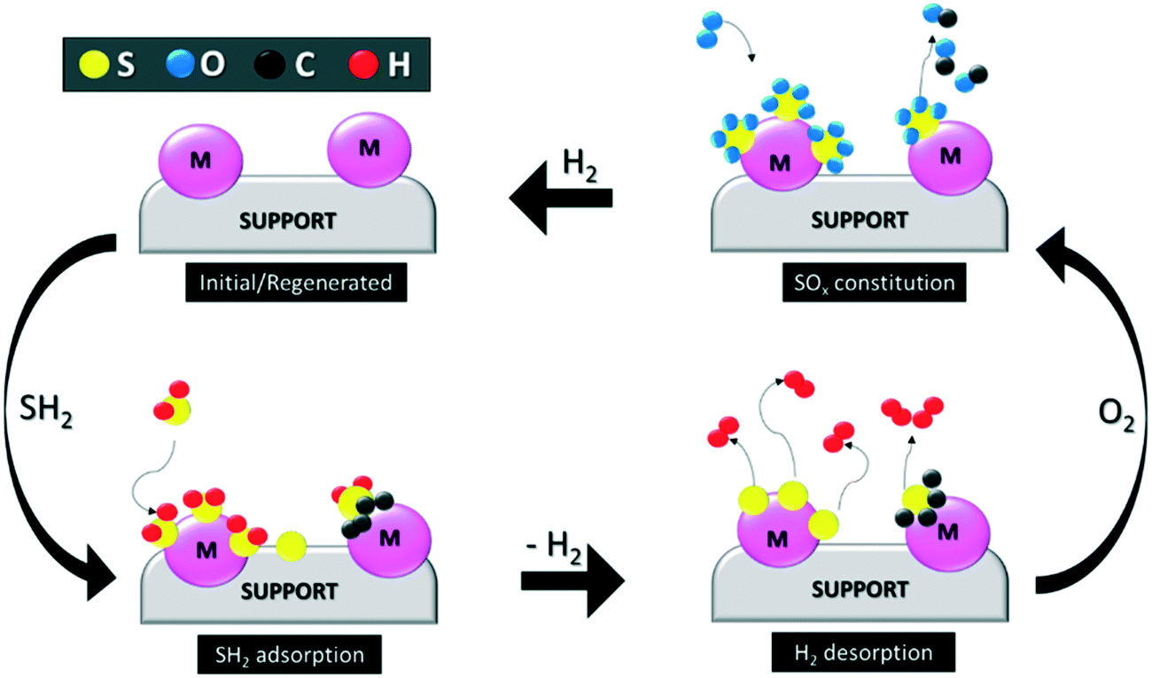 reverse water gas shift reaction