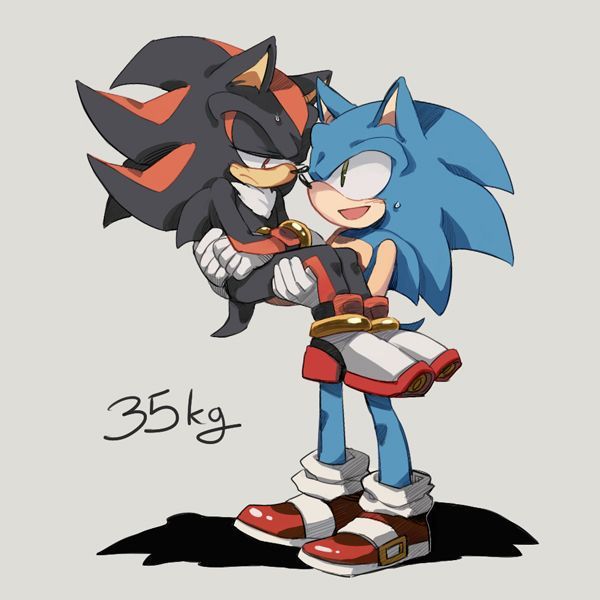 shadow x sonic