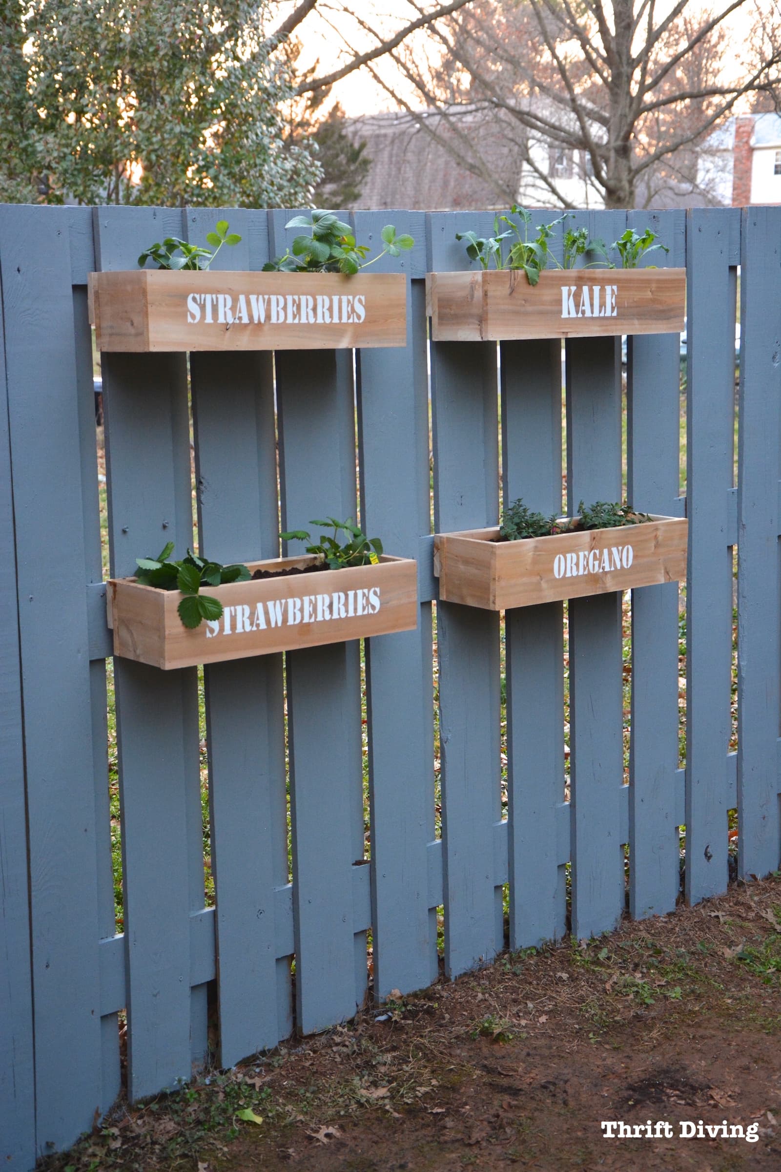 fence planters