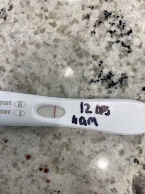 pregnancy test 12 dpo