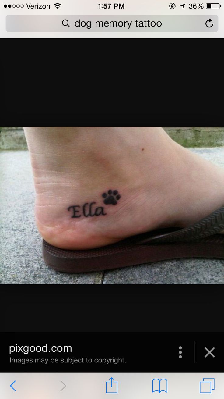 dog memory tattoos