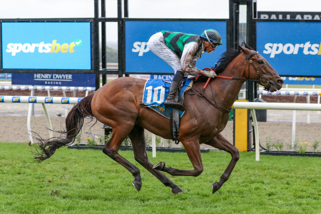 sportsbet horse racing tips