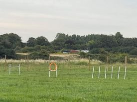 bridge meadow secure dog field