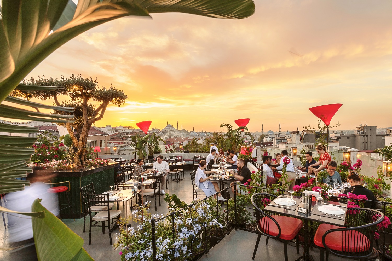 roof mezze