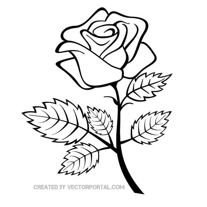 rose outline vector