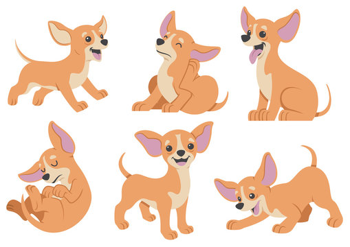 chihuahua dog cartoon