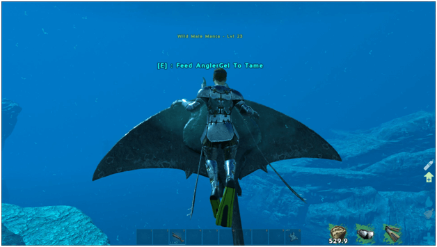 ark manta ray