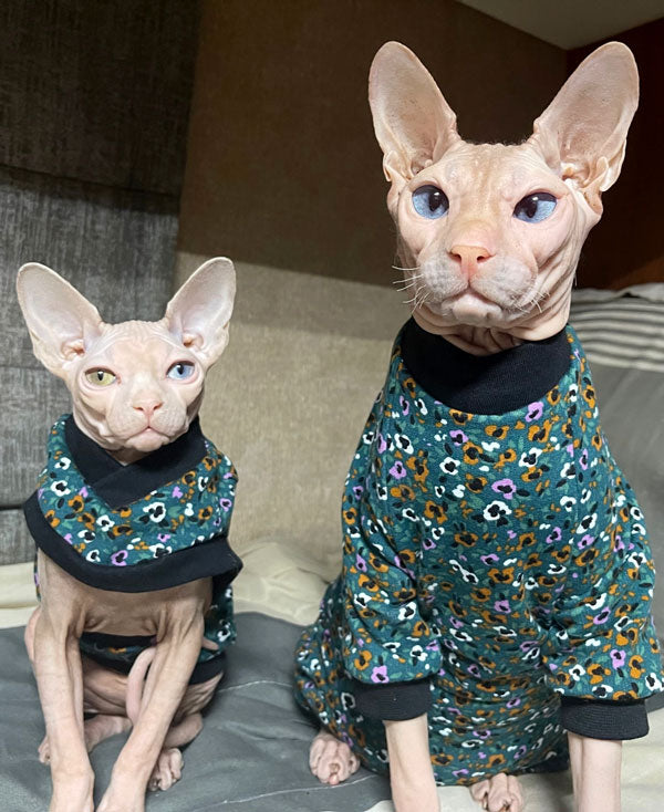 sphynx cat wear