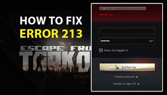 error 213 tarkov